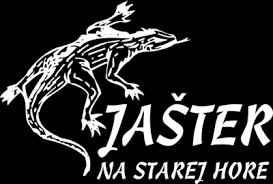 Jašter